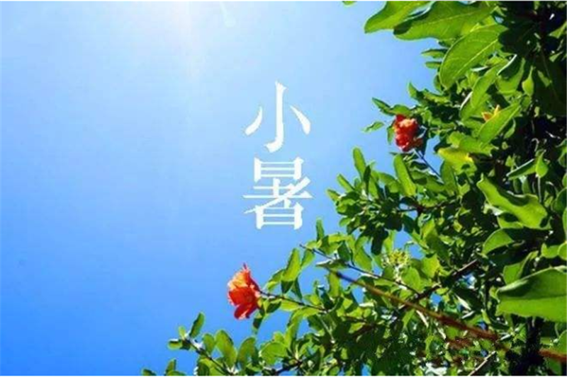 二十四節氣——小暑
