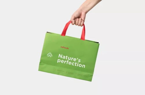 越南Nafoods Group農場企業品牌形象VI設計